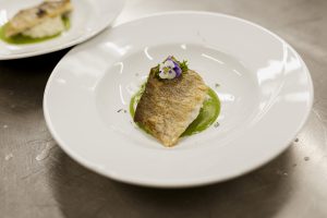 Umenie, história a gastronómia